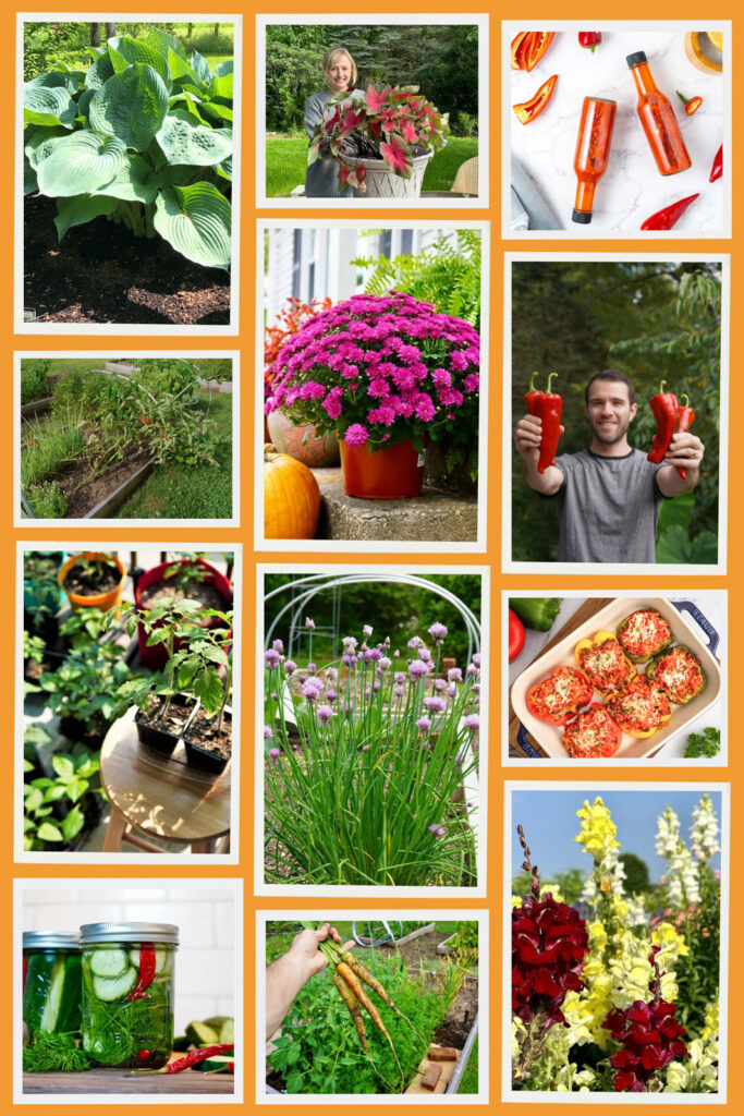 Collage with veggies and flowers